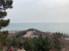 -石老人观光园