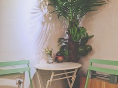 -津椰本·海南正宗椰奶清补凉(店一店)