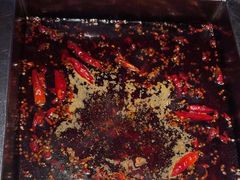 -二荆条·蜀鲜汇城市森林火锅