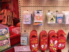 -越秀西湖花市(广州城市广场花卉店)
