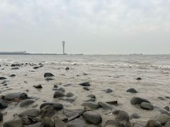 -吴淞炮台湾湿地森林公园烧烤区