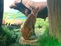 -国家自然博物馆