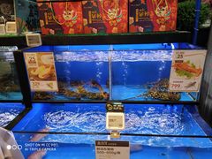 水产区-盒马鲜生(皇庭广场店)
