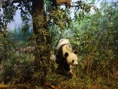 -陕西自然博物馆