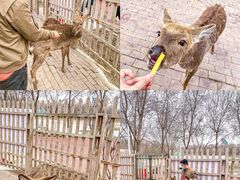 -水上乐园·欢乐世界