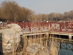 -河北省园博园