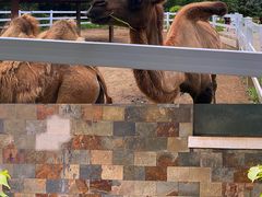 -哈尔滨北方森林动物园