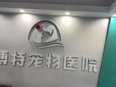 -博特宠物医院24h犬猫全科.骨科·异宠