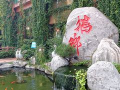 -昌隆•家家鹅乡•海南菜老字号(琼海店)
