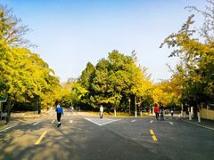 -八大关景区