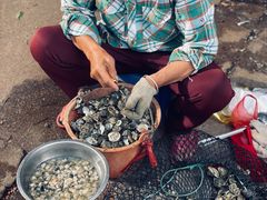 -东寨港红树林旅游区