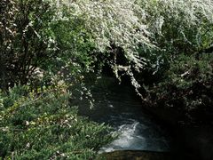 -中国茶叶博物馆(双峰馆区)