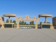 -金塔沙漠胡杨林景区