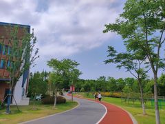 -上海长兴岛郊野公园