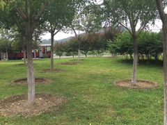 -永定河休闲森林公园