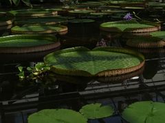 -国家植物园南园