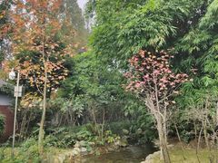 -成飞公园