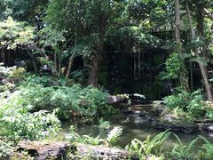 -绿光森林餐厅