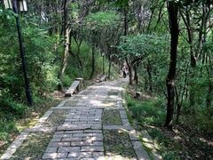 -白马涧龙池景区