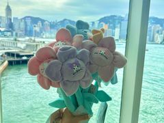 -玩具反斗城(海港城店)