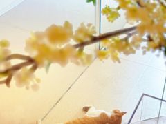 -左右Massage/Spa(长寿路店)