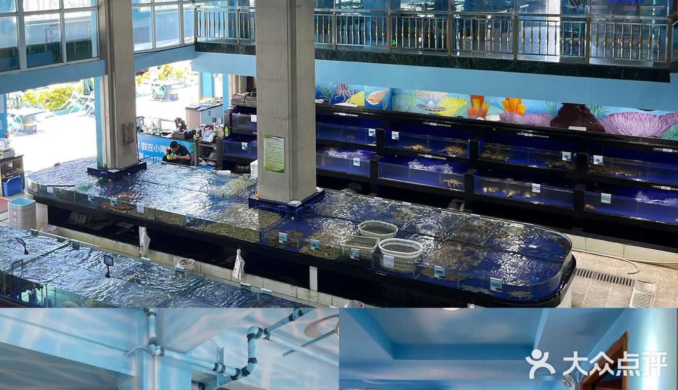三亚探店-- 一家疯狂安利的宝藏餐厅——小海豚海鲜餐厅