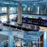 三亚探店-- 一家疯狂安利的宝藏餐厅——小海豚海鲜餐厅
