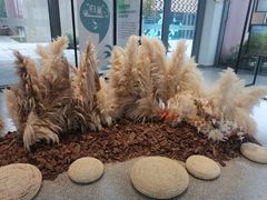 -上海植物园-4号门售票处