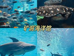 -长鹿旅游休博园