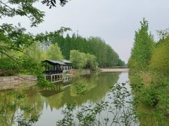 -黄海国家森林公园