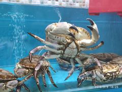-港畔赶海蒸汽海鲜烧烤自助(仙螺岛店)