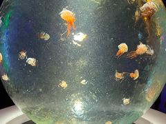 -北海海底世界
