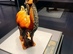 -贵州省博物馆(新馆)