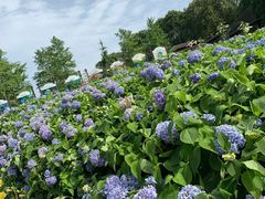 -保利石象湖景区