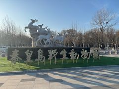 -秦皇岛野生动物园