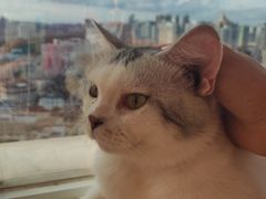 -Heymao猫咖.咖啡厅(东门店)