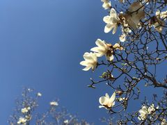 -天津盘山风景名胜区