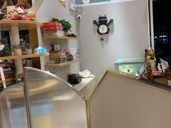 -飞行喵MR PILOT|猫舍·猫咖(静安大融城店)