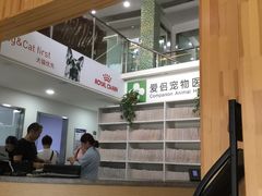 -爱侣宠医·鹦鹉专科·小型哺乳类·异宠专科(灵石路店)