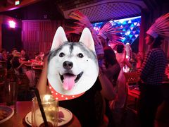 -MR.ROCKY洛奇先生RESTAURANT&BAR(宝安壹方城店)