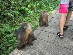 -西岭雪山大飞水景区