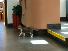 -季季红火锅(长沙步行街店)