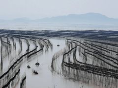 -北岐滩涂