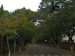 -八大关景区