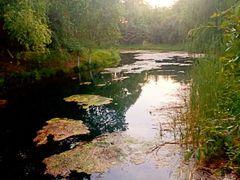 -长白岛森林公园