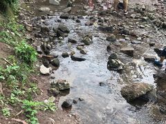 -重庆彩云湖湿地公园