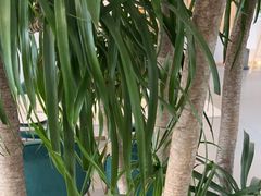 -开间茶馆·围炉煮茶