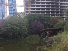 -木塔寺遗址生态公园
