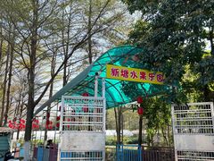 -新塘水果乐园(东洲大道店)