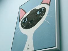 -纳吉亚猫专科动物医院博雅分院